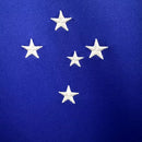 Camisa Feminina Cruzeiro I 2023/24 | com patrocínio Betfair - Loja Fanatizeiro